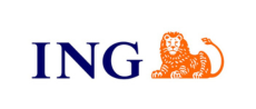 ING Icon